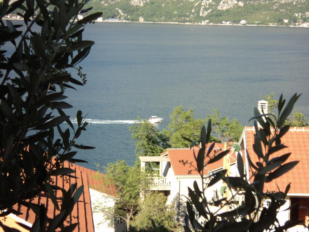 קוטור Guest House Pajovic מראה חיצוני תמונה